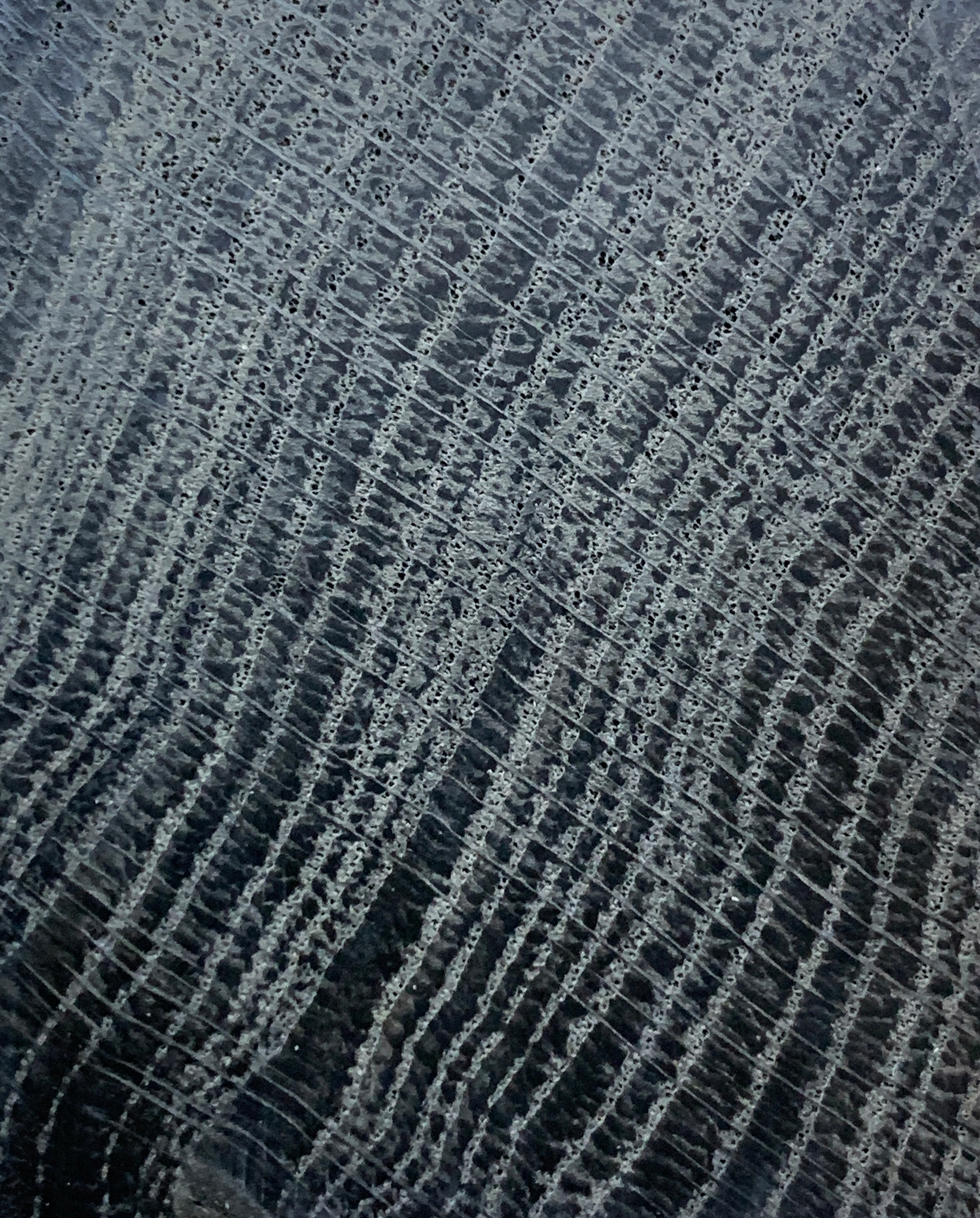 Химический анализ образцов морёного дуба